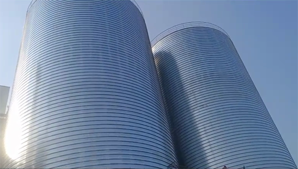 武义2座混凝土高架卷板仓